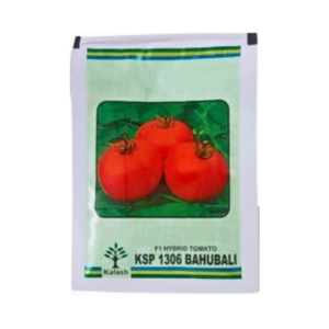 New Kalash KSP 1306 Bahubali F1 Hybrid Tomato Seeds