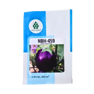 Nath Nbh-459 F1 Hybrid Brinjal Seeds