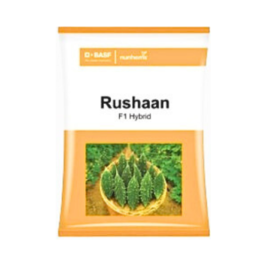 Nunhems Rushaan F1 Hybrid Bitter Gourd seeds