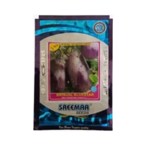 New Sreemaa Bluestar Brinjal seeds