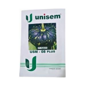 New Unisem USM-08 Plus F1 Hybrid pumpkin Seeds
