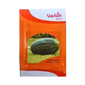 Vachan Lambodhar F1 Hybrid Pumpkin Kaddui Seeds