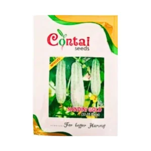 New Contai Nandini Gold Improved Cucumber seeds