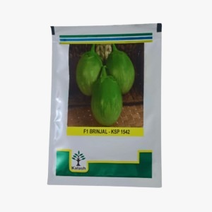 New Kalash Ksp-1452 F1 Brinjal Seeds