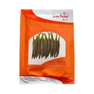 New Vachan Kalla (VHPH-0535) Hot Pepper F1 Hybrid Chilly Seeds