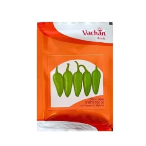 New Vachan (VHPH-0513) Shot Gun Hot Pepper F1 Hybrid Chilly Seeds