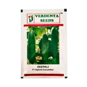 New Verdenta Deepali F1 Hybrid Cucumber seeds