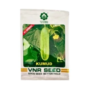 New Vnr Kumud F1 Hybrid Cucumber seeds