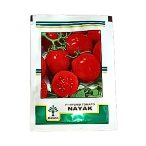 New Kalash Nayak F1 Hybrid Tomato Organic Vegetable Seeds