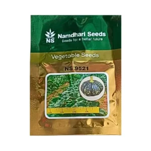 New Namdhari Ns 9521 F1 Hybrid Pumpkin Organic Vegetable Seeds