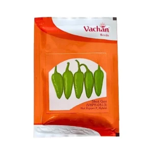 New Vachan (VHPH-0513) Hot Pepper F1 Hybrid Chilly Seeds