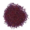 Organicbajar Sonali 210 F1 Hybrid Cabbage Seeds Organic Vegetable Seeds (129 Pis)