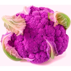 Organicbajar Ritika F1 Hybrid Broccoli Seeds 129 Pis