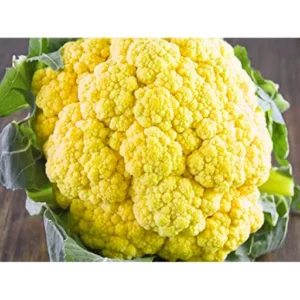 Organicbajar Megha F1 Hybrid Broccoli Seeds 129 Pis