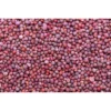 Organicbajar Shruti F1 Hybrid Broccoli Seeds 129 Pis