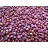 Organicbajar Ritika 125 F1 Hybride Kholrabi Seeds 129 Pis