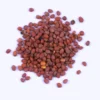Organicbajar Anu F1 Hybrid Kholrabi Seeds 129 Pis