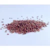 Organicbajar Rekha F1 Hybrid Radish Seeds 129 Pis