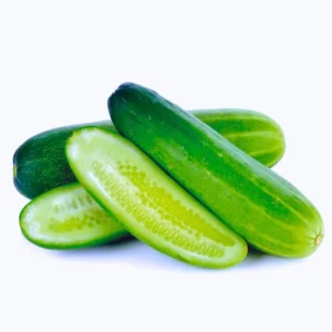 Organicbajar Rekha F1 Hybrid Cucumber Seeds 129 Pis