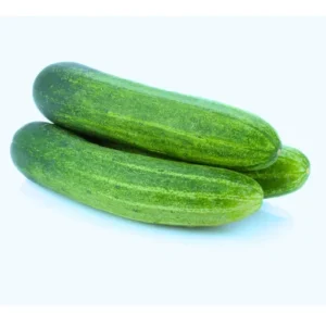 Organicbajar Jyoti F1 Hybrid Cucumber Seeds 129 Pis