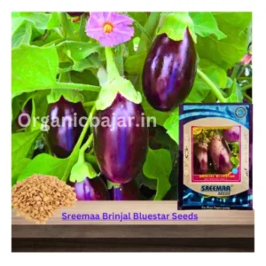 Sreemaa Bluestar Brinjal Seeds