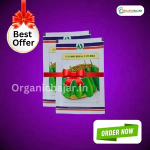 New Sungro S-132 Gold F1 Hybrid Brinjal Organic Vegetable Seeds (Best Offer)