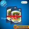 New Sreemaa Bluestar Brinjal Seeds