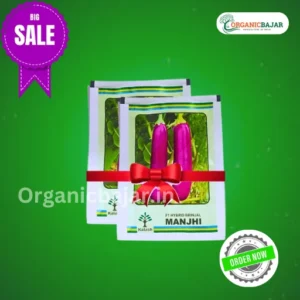 New Kalash Manjhi F1 hybrid Brinjal Seeds