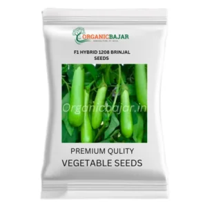 Organicbajar Hybrid 1208 Brinjal Organic Vegetable Seeds (pis69)